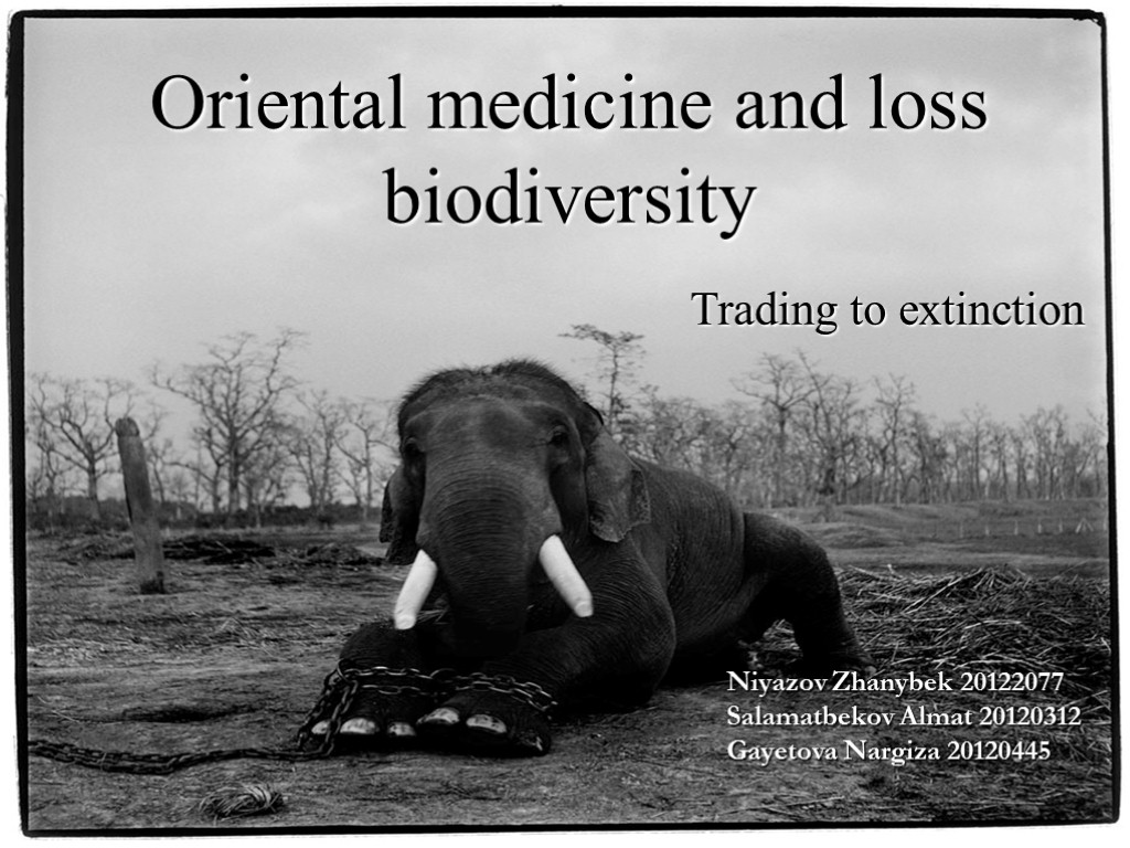 Oriental medicine and loss biodiversity Oriental medicine and loss biodiversity Niyazov Zhanybek 20122077 Salamatbekov